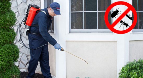 Arnavutköy Pire İlaçlama böcek ilaçlama ve haşere kontrolü — ilaclama-tr.com